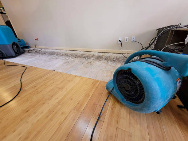 Professional Basement Flood Cleanup technician working in Eastaboga, AL